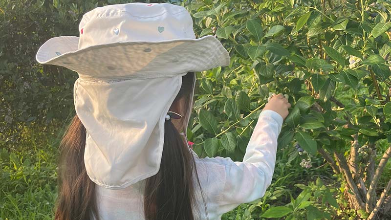 摘み取りイメージ